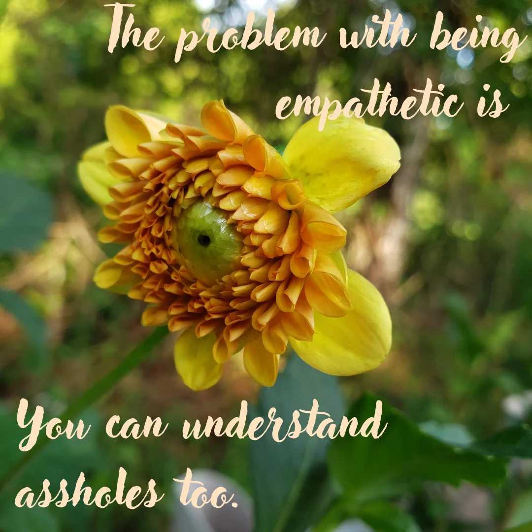 Nitrogen's Role in Plant Growth