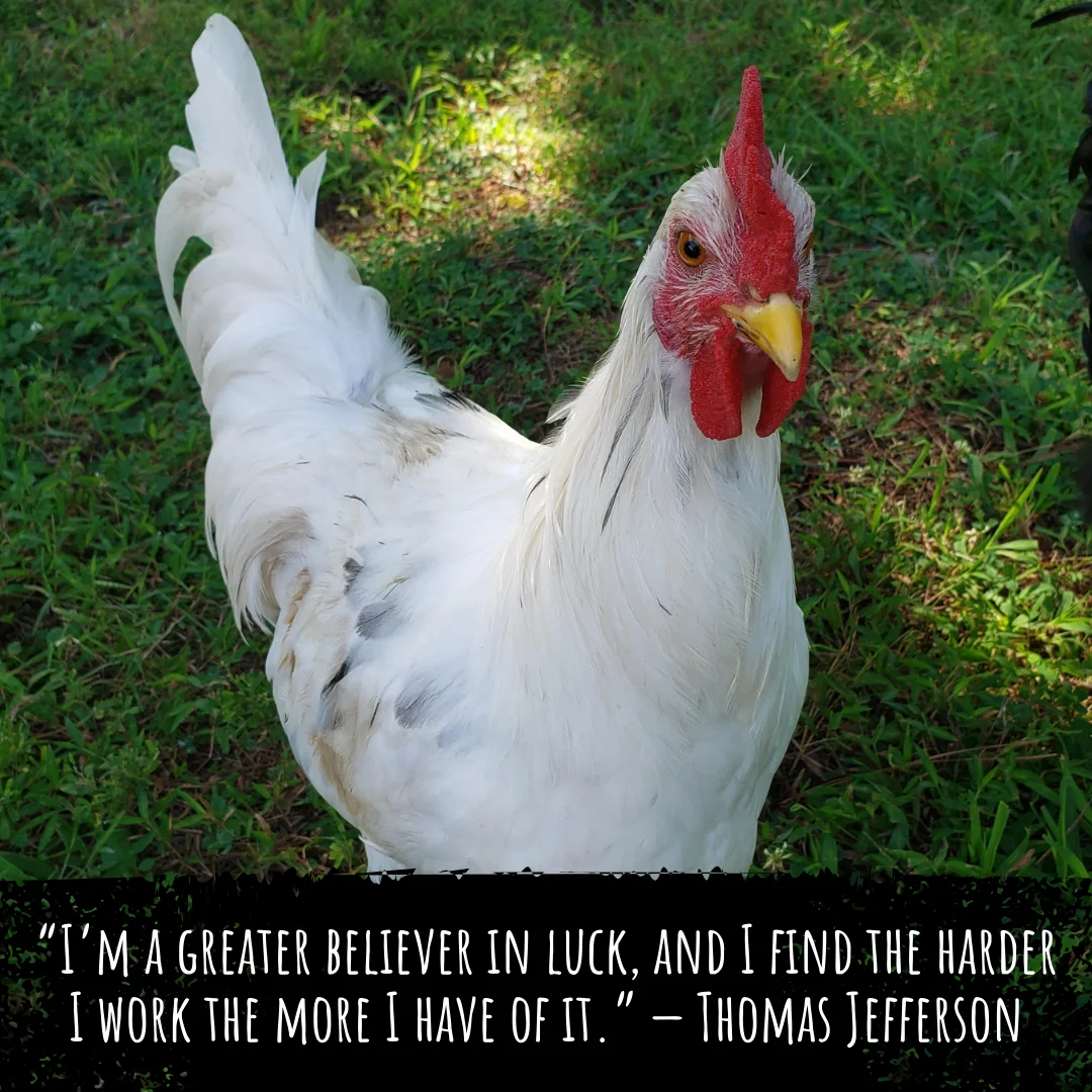 CHNOPS: Key to Life's Chemistry