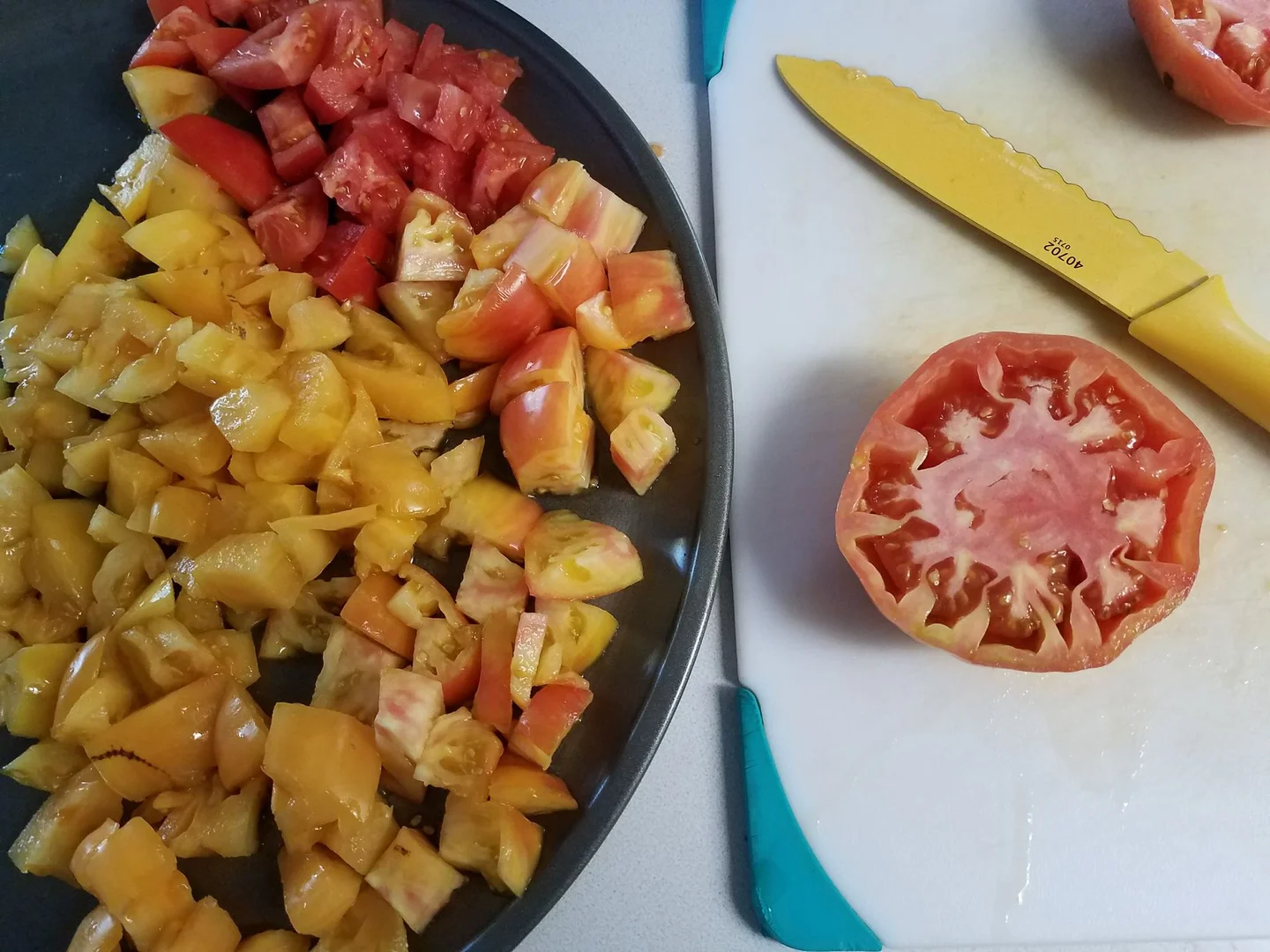 Seeds Before Science: How Observation Built Agriculture