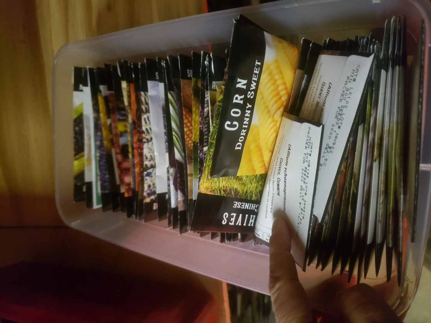 West Africa: Parklands, Pastoralism, and Living Soil