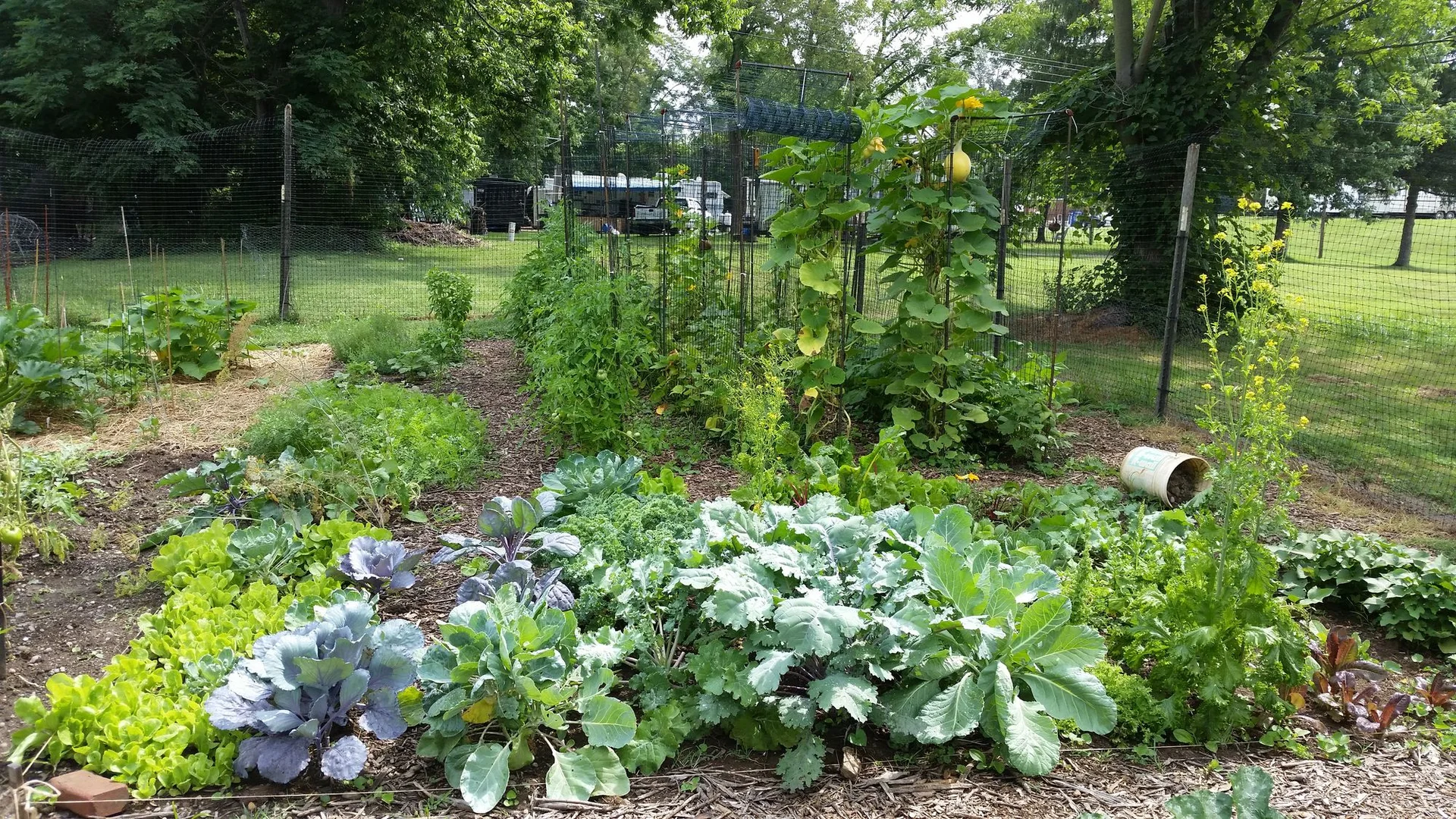 Mesoamerica: The Milpa and the Sacred Corn