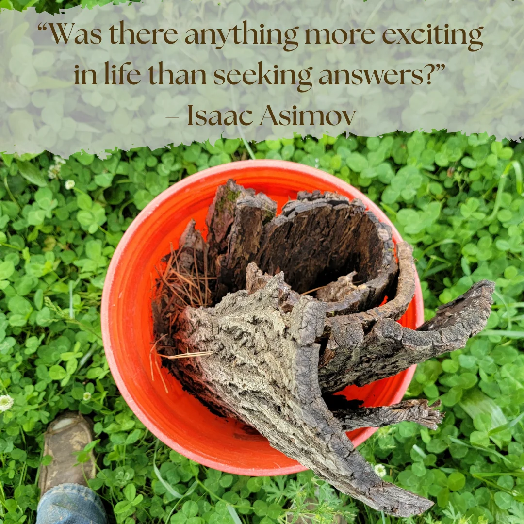 Diversity of Earthworm Roles in Soil