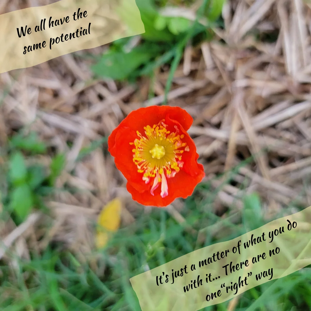 Soil Biology as Earth's Buffer