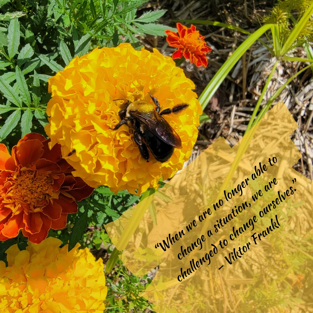 Unlocking Soil Phosphorus for Plant Growth