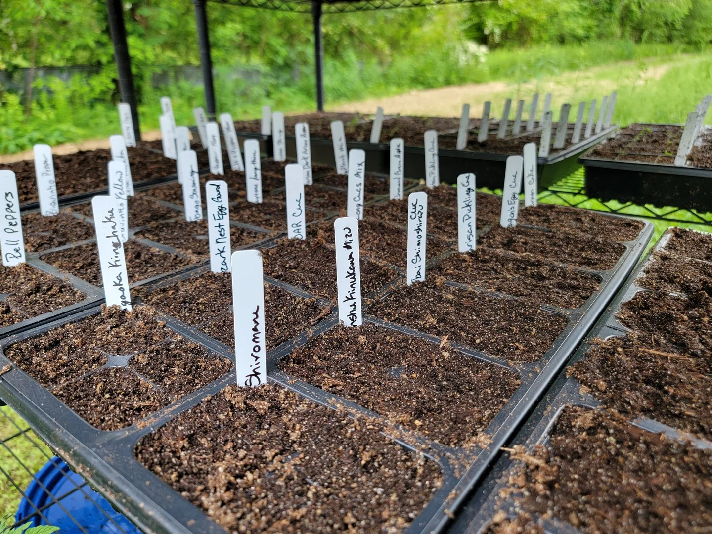 Australia: Fire, Country, and the World's Oldest Land Managers