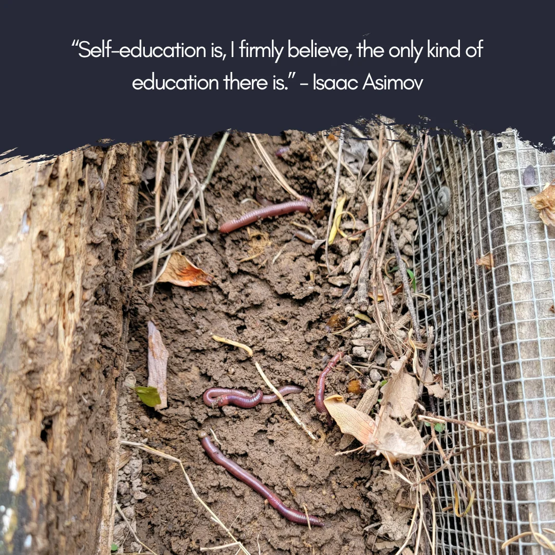 Worms: Nature's Ingenious Soil Engineers