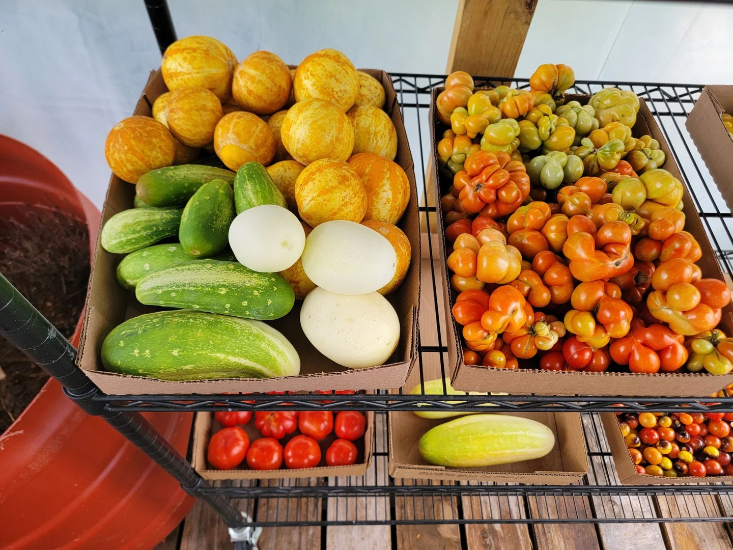 Soil Balance and Antagonistic Cofactors