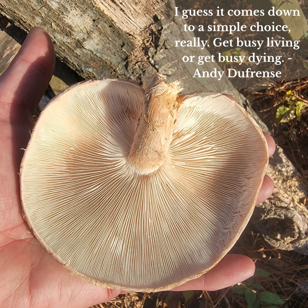 Impact of Calcium on Soil Structure