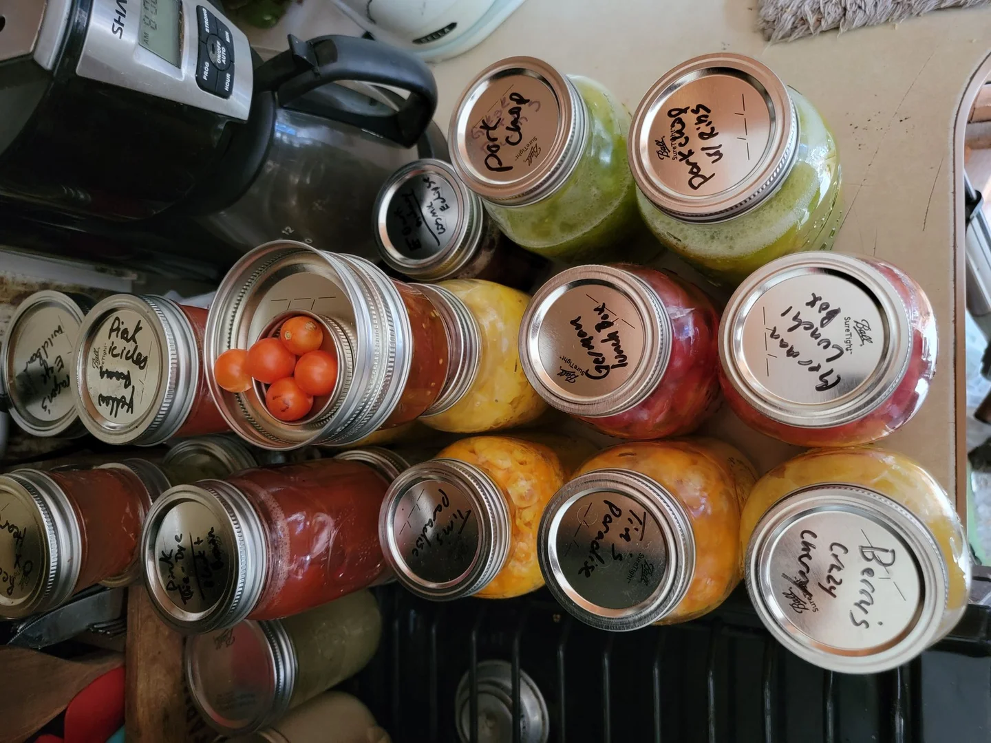 The Fertile Crescent: Irrigation, Salinity, and the Cost of Abundance