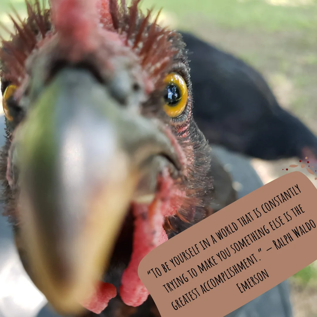 Oxygen's Role in Agriculture