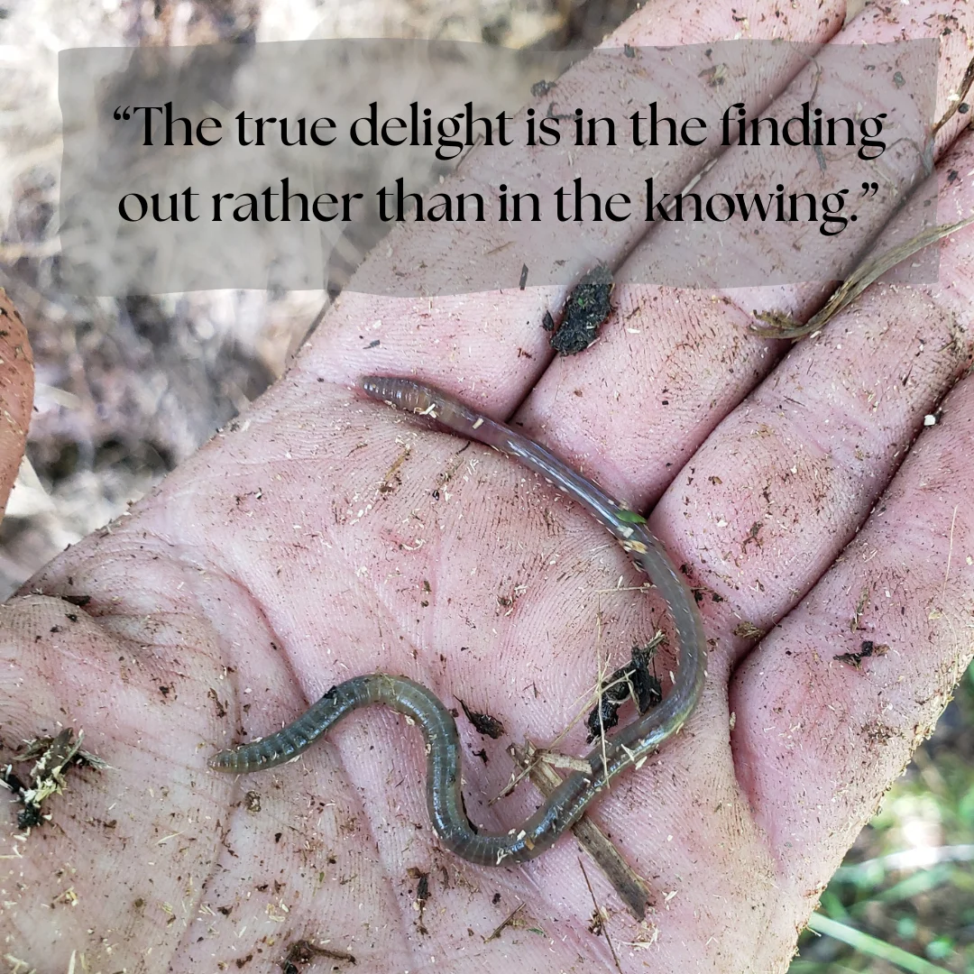 Invasive Worms in Ecosystems