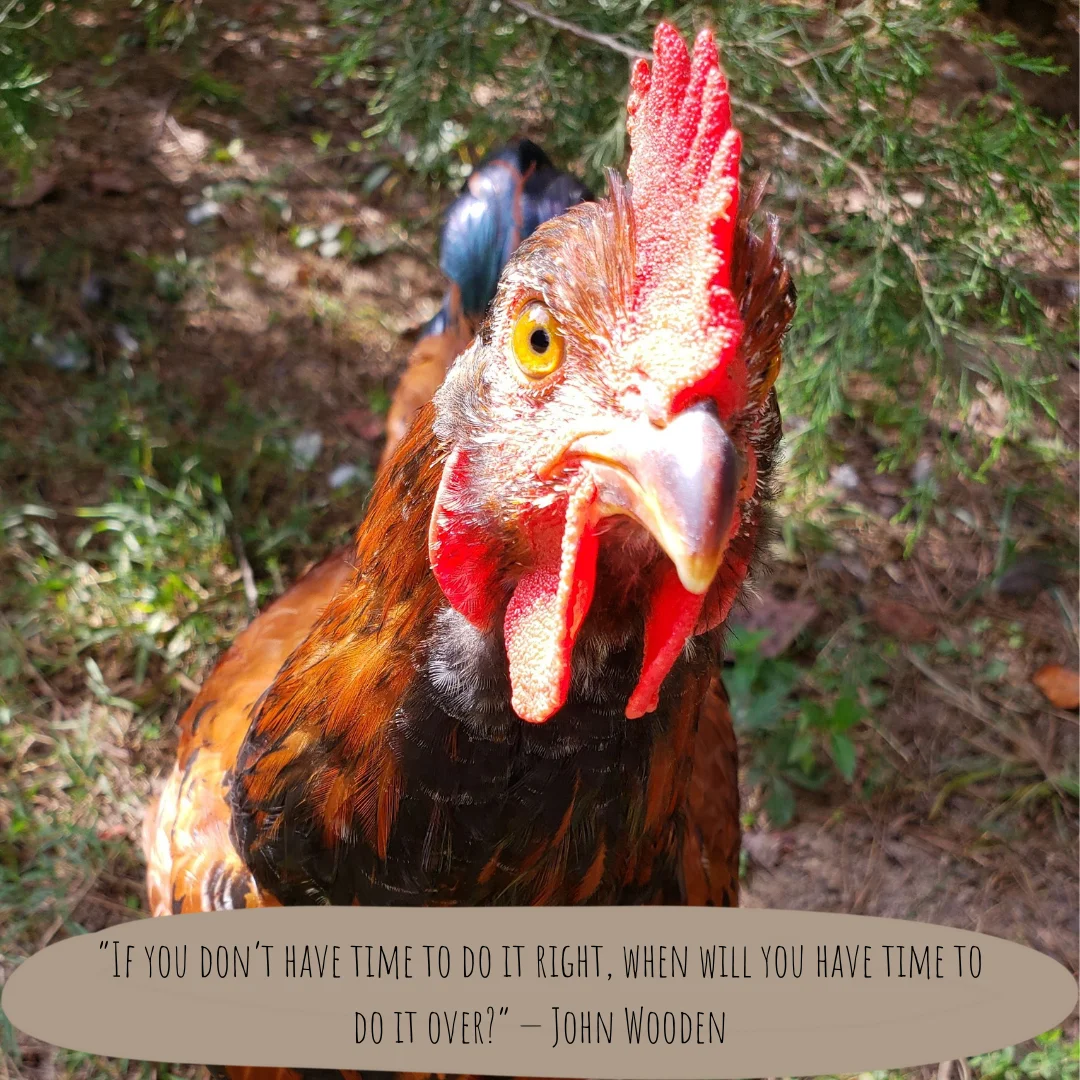 Restoring Soil Health