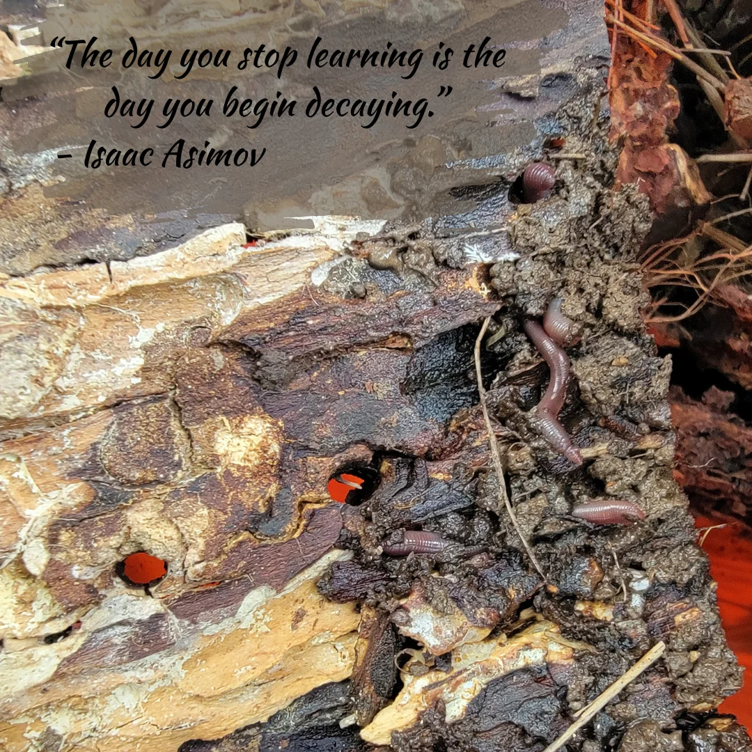 The Role of Anecic Worms in Soil Health