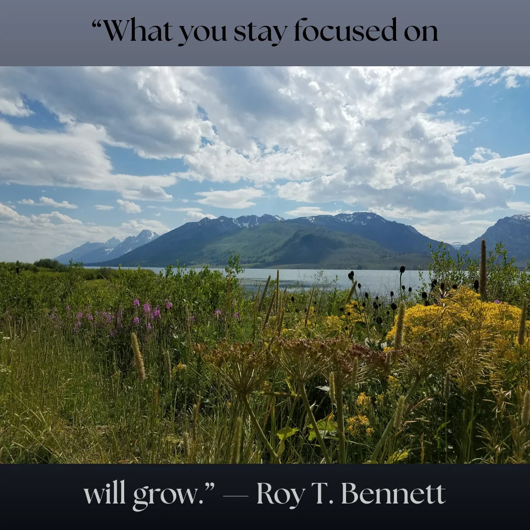 Carbon and Mineral Interactions in Soil