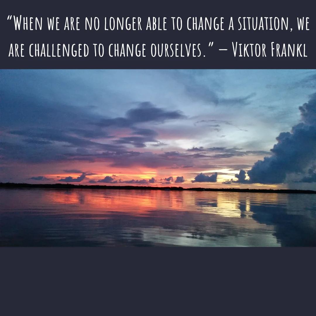 Soil Chemistry and Biology Balance