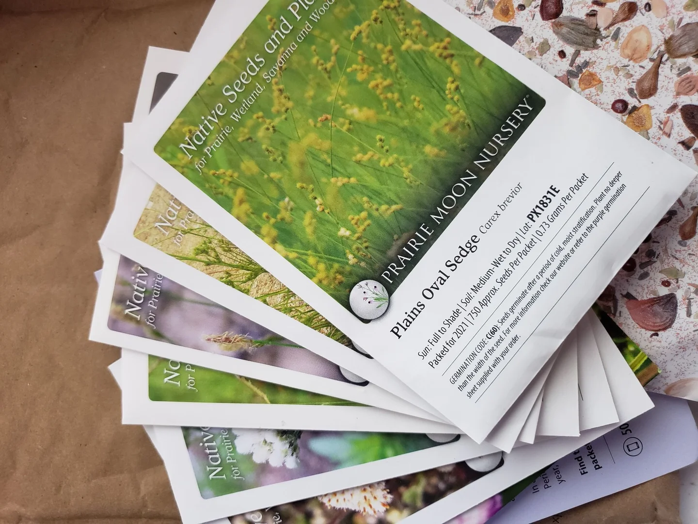 Still Cultivating: Hunter-Gatherers and the Knowledge That Never Left