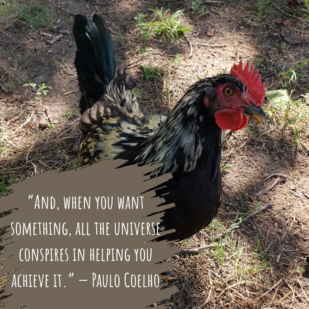 Impact of Magnesium Dominance in Soil